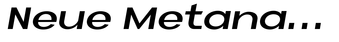 Neue Metana Semi Bold Italic